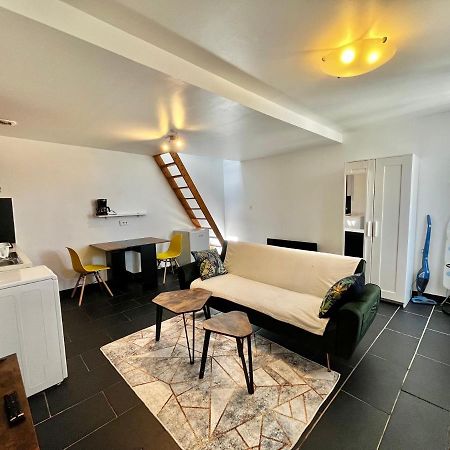 Studios Au Quartier Pavillonnaire Rue D Ambert 올리언스 외부 사진